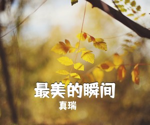 真瑞《最美的瞬间吉他谱》(C调)