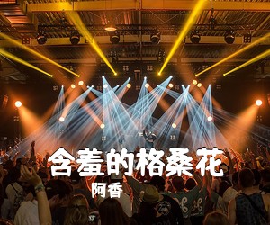 阿香《含羞的格桑花简谱》