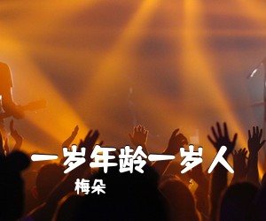 梅朵《一岁年龄一岁人简谱》