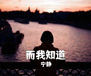 宁静《而我知道吉他谱》(D调)