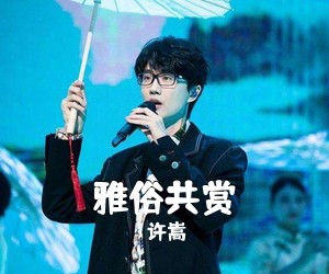 许嵩《雅俗共赏吉他谱》(G调)