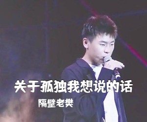隔壁老樊《关于孤独我想说的话吉他谱》(C调)