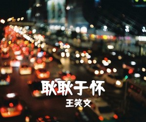 王笑文《耿耿于怀吉他谱》(G调)