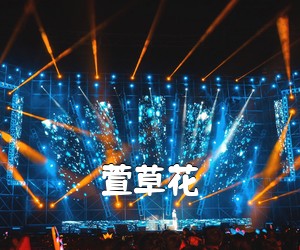 《萱草花吉他谱》(G调)