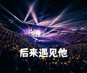《后来遇见他吉他谱》(C调)