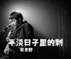 宋冬野《平淡日子里的刺吉他谱》(A调)