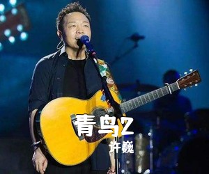 许巍《青鸟2吉他谱》(B调)