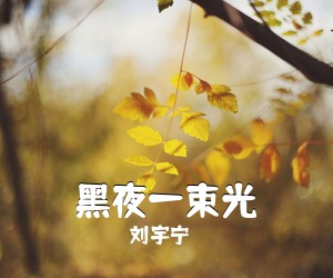 刘宇宁《黑夜一束光吉他谱》(G调)