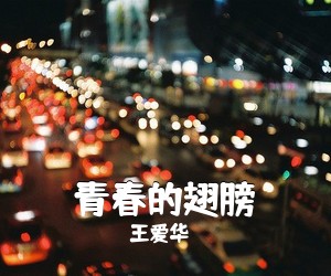 王爱华《青春的翅膀简谱》