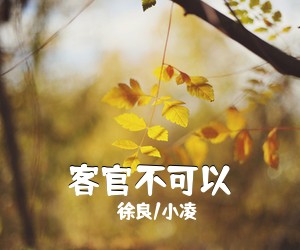 徐良/小凌《客官不可以吉他谱》(G调)