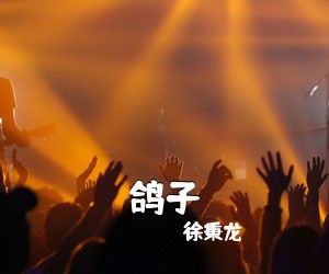 徐秉龙《鸽子吉他谱》(C调)