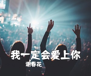 谢春花《我一定会爱上你吉他谱》(D调)