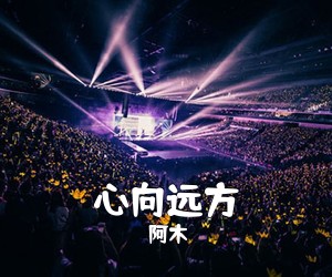 阿木《心向远方吉他谱》(G调)