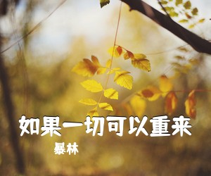 暴林《如果一切可以重来简谱》