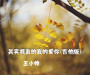 王小帅《其实我真的真的爱你(吉他版)吉他谱》(C调)