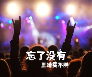 王靖雯不胖《忘了没有吉他谱》(G调)