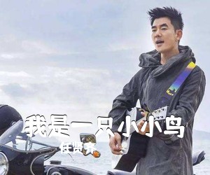 任贤齐《我是一只小小鸟吉他谱》(G调)