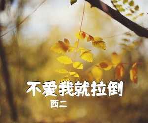 西二《不爱我就拉倒吉他谱》(C调)