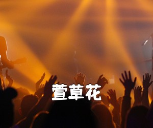 《萱草花吉他谱》(G调)