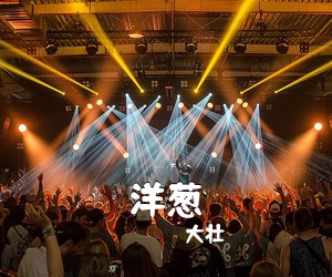 大壮《洋葱吉他谱》(C调)
