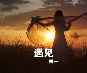 林一《遇见吉他谱》