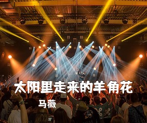 邢维维《亲哥哥简谱》