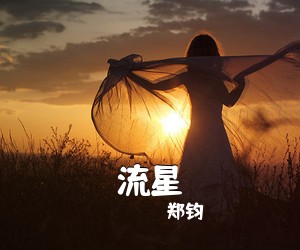 郑钧《流星吉他谱》(C调)