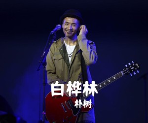 朴树《白桦林吉他谱》(F调)