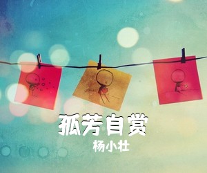 杨小壮《孤芳自赏吉他谱》(C调)