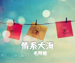 毛阿敏《情系大海简谱》
