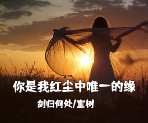 剑归何处/宝树《你是我红尘中唯一的缘简谱》
