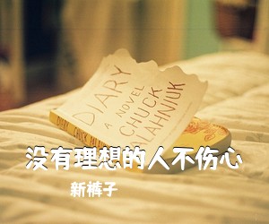 新裤子《没有理想的人不伤心吉他谱》(G调)
