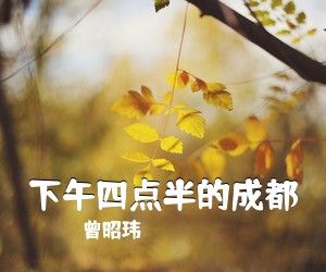 曾昭玮《下午四点半的成都吉他谱》(A调)