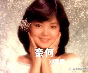 邓丽君《奈何简谱》