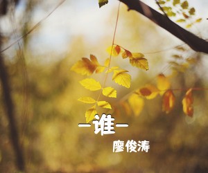 廖俊涛《-谁-吉他谱》
