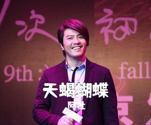 阿杜《天蝎蝴蝶吉他谱》(C调)