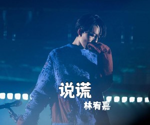 林宥嘉《说谎吉他谱》(G调)