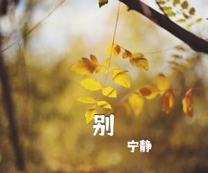 宁静《别吉他谱》