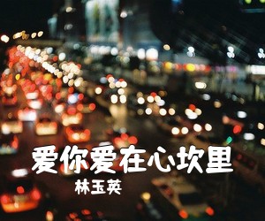 林玉英《爱你爱在心坎里简谱》