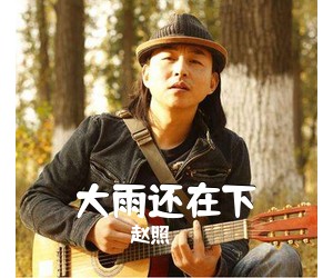 赵照《大雨还在下吉他谱》(G调)