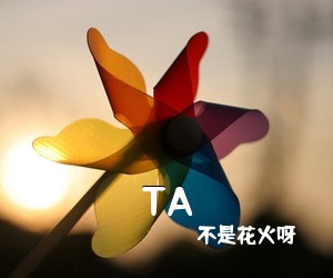 不是花火呀《TA吉他谱》(C调)