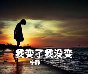 宁静《我变了我没变吉他谱》