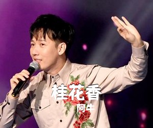 阿牛《桂花香吉他谱》(F调)