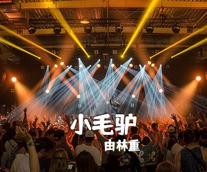 由林重冏《小毛驴吉他谱》(C调)