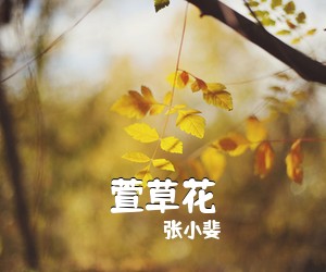 张小斐《萱草花吉他谱》(C调)