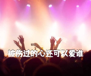 《被伤过的心还可以爱谁吉他谱》(E调)