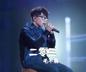 毛不易《二零三吉他谱》(G调)