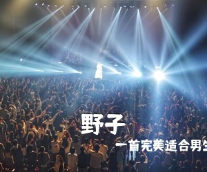 一首完美适合男生《野子吉他谱》