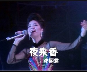邓丽君《夜来香简谱》