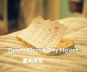 黑豹乐队《Don't Break My Heart吉他谱》(G调)